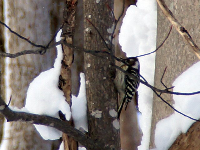 a0345007_216855.jpg
