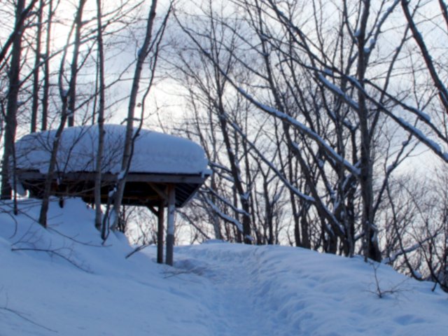 2017年１月15日（日）　三角山～大倉山～奥三角山(標高354m)_a0345007_2172937.jpg