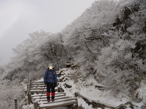 今年初めの山登りは親子で九重へ_b0277008_21431050.jpg