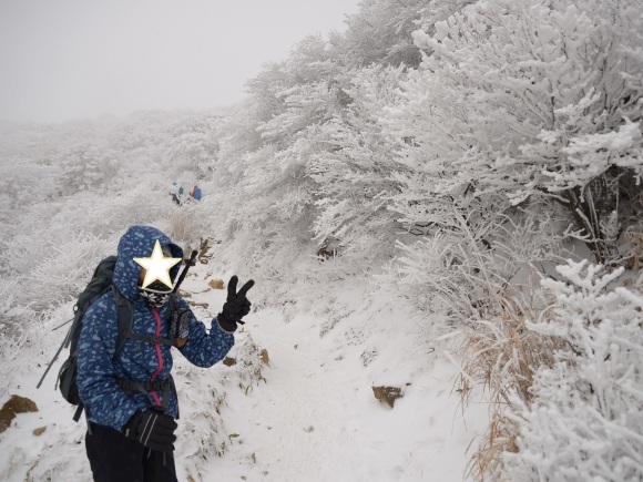 今年初めの山登りは親子で九重へ_b0277008_21473069.jpg