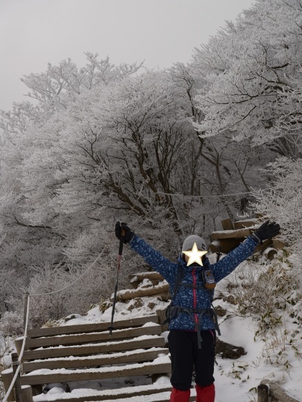 今年初めの山登りは親子で九重へ_b0277008_21550152.jpg