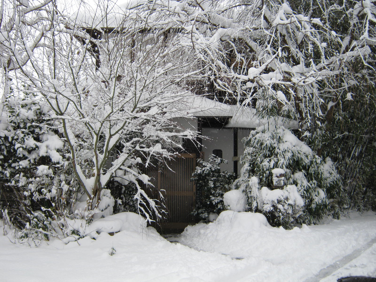 f0173908_1133586.jpg