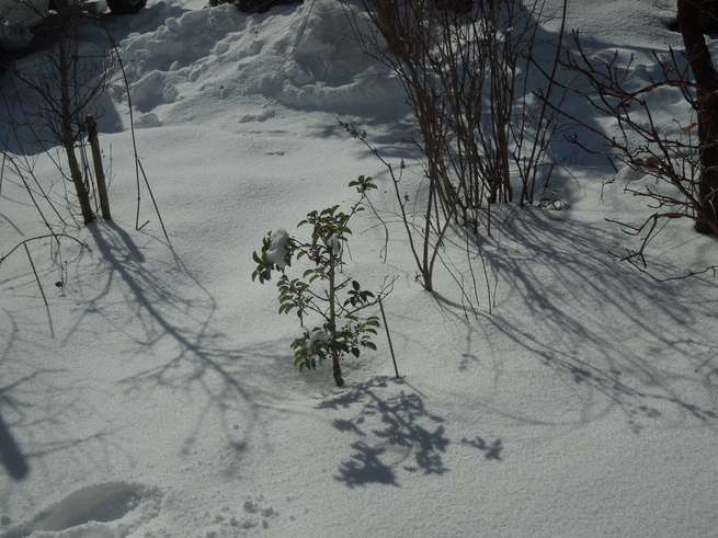 f0297809_11371411.jpg