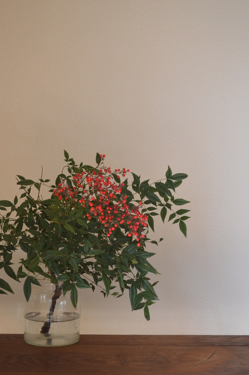 c0279611_2314982.jpg