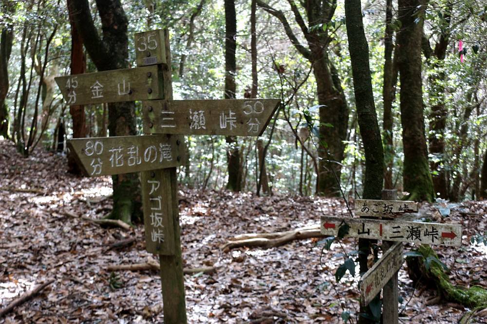 f0212511_21573409.jpg