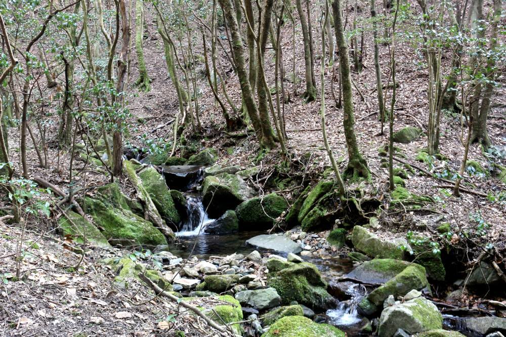 f0212511_21590125.jpg