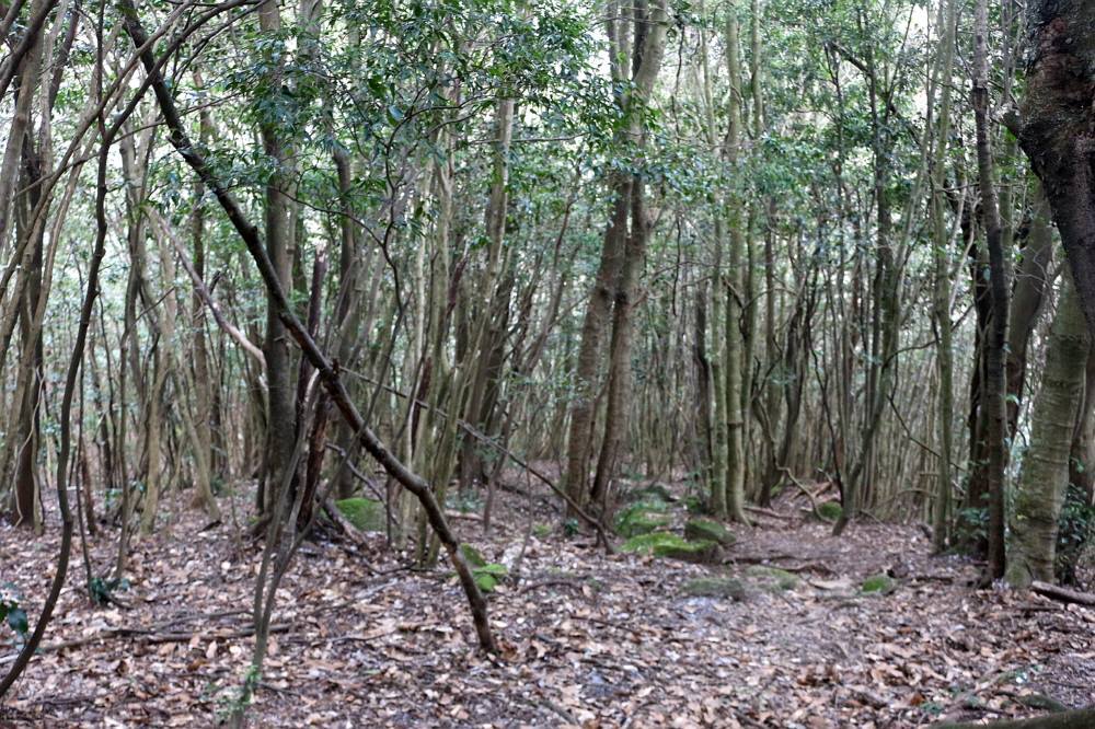 f0212511_21593098.jpg