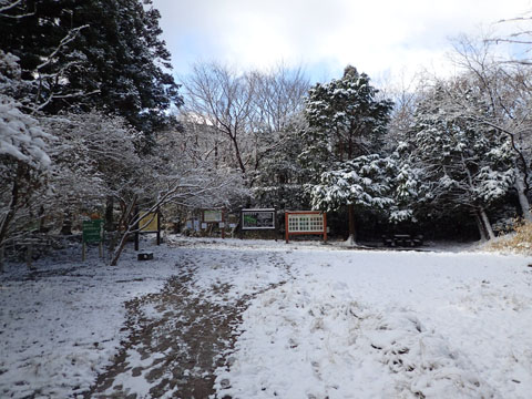 e0293913_12454170.jpg