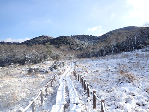 e0293913_12464194.jpg
