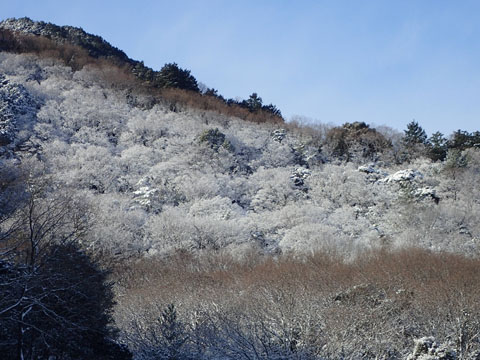 e0293913_12492421.jpg
