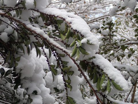 e0293913_1327814.jpg