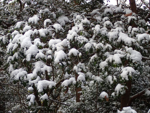 e0293913_13283329.jpg