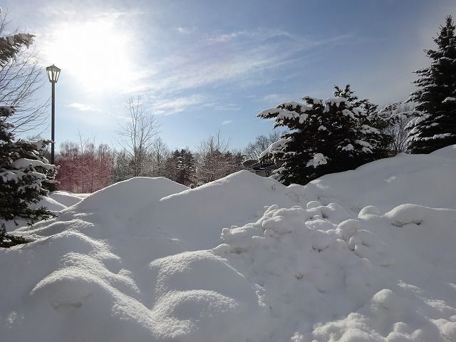 f0328313_11002900.jpg