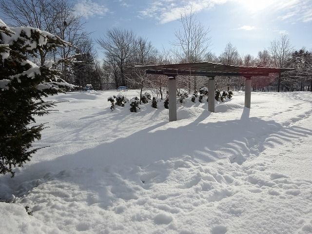 f0328313_11004166.jpg