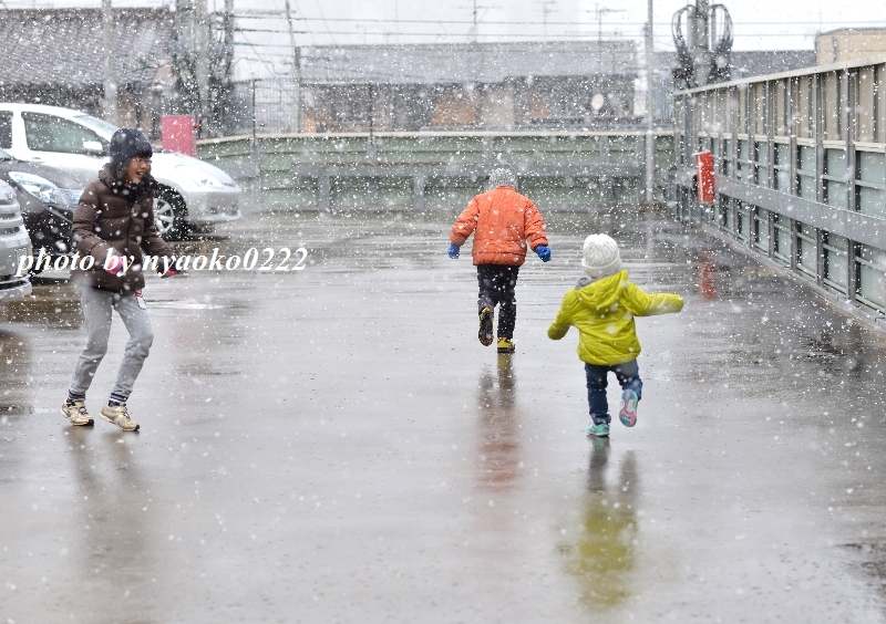 3年ぶりの雪だるま（写真部門）_e0365414_16420746.jpg