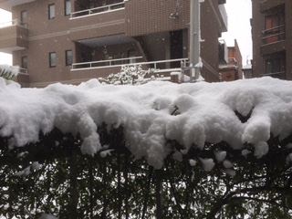 b0181417_1212773.jpg
