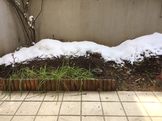 b0181417_1232387.jpg