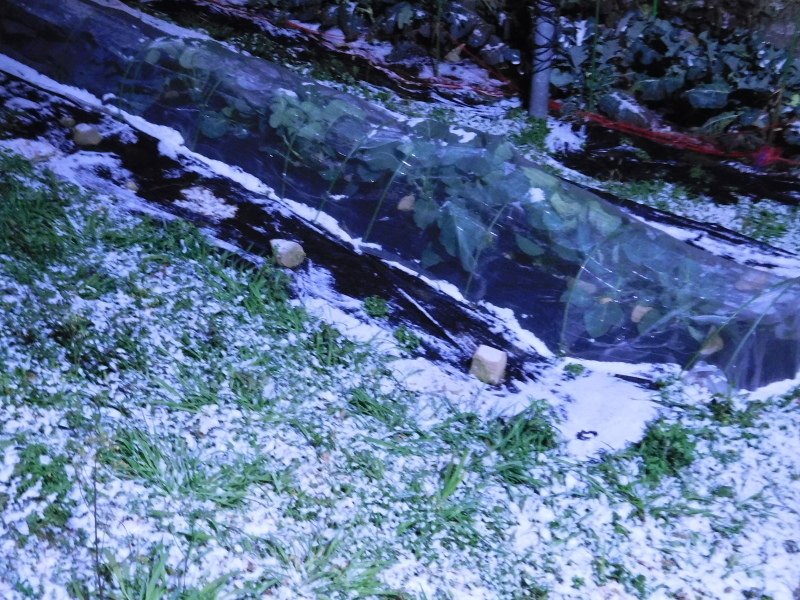a0125419_06130479.jpg