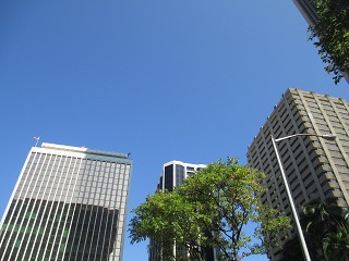 a0242019_8574463.jpg