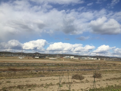 産地始動_d0163620_06583390.jpg