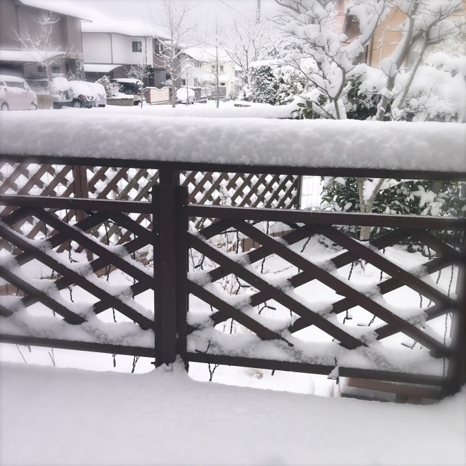 雪!!_c0211221_11293315.jpg