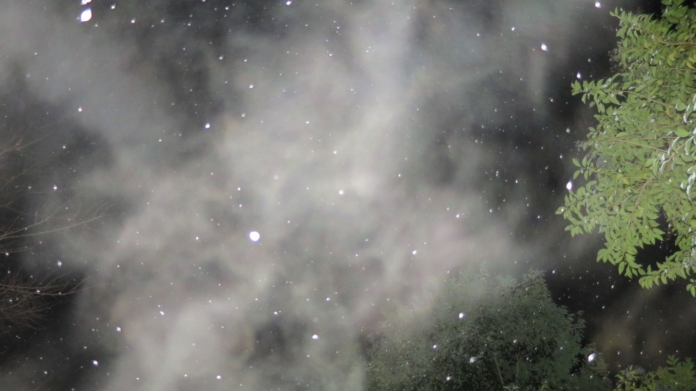 c0331825_16251612.jpg
