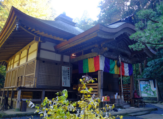 a0000029_0333658.jpg