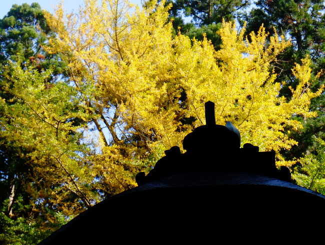 a0000029_05238100.jpg
