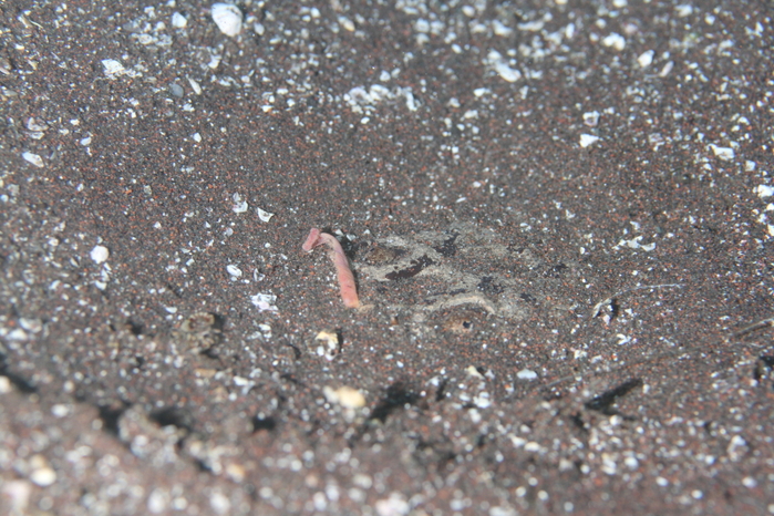 c0034029_9145614.jpg