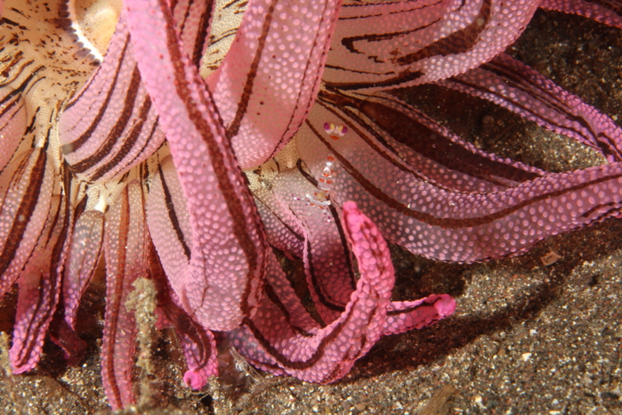 c0034029_915235.jpg
