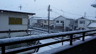 初雪の朝_d0027529_1511446.jpg