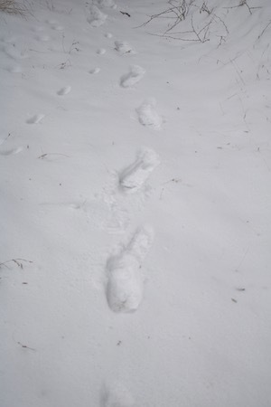 f0044029_20534126.jpg
