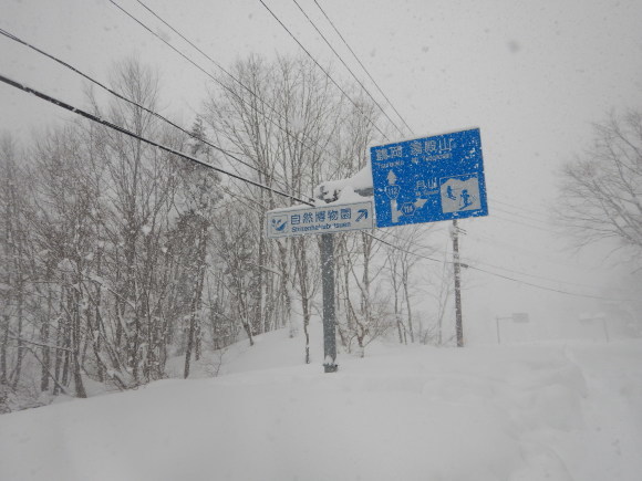 f0118332_00185504.jpg