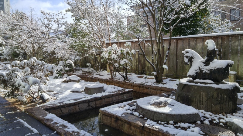 f0361132_14571422.jpg
