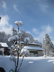 b0116933_445548.jpg