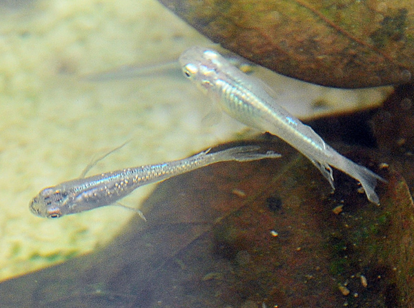 e0097534_1882076.jpg