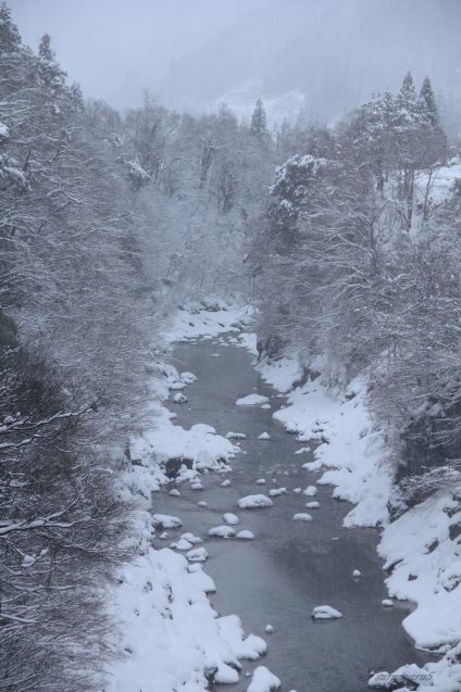 e0358534_21515571.jpg