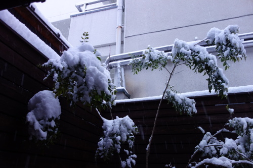 f0068334_11012317.jpg