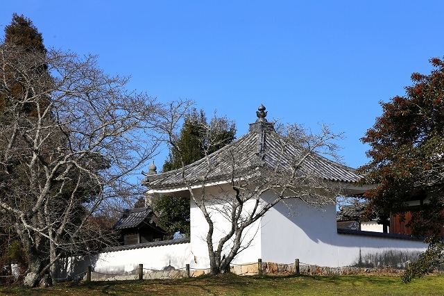 a0242438_18462972.jpg