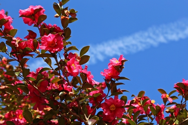a0242438_18462976.jpg