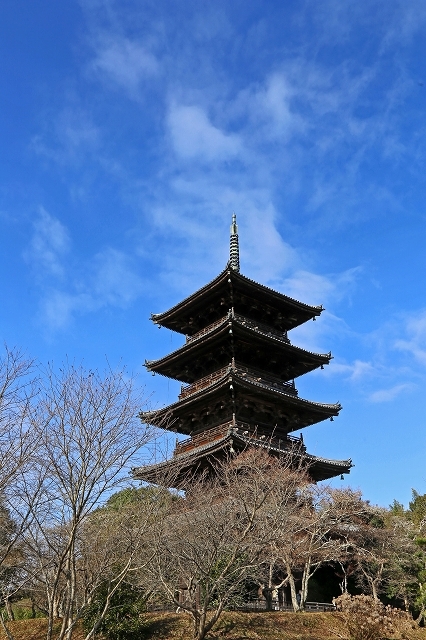 a0242438_18463602.jpg