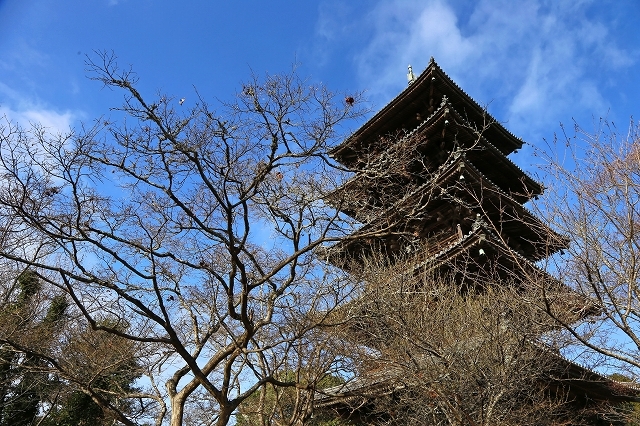 a0242438_18463781.jpg