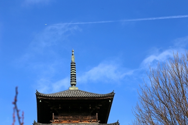 a0242438_18473895.jpg