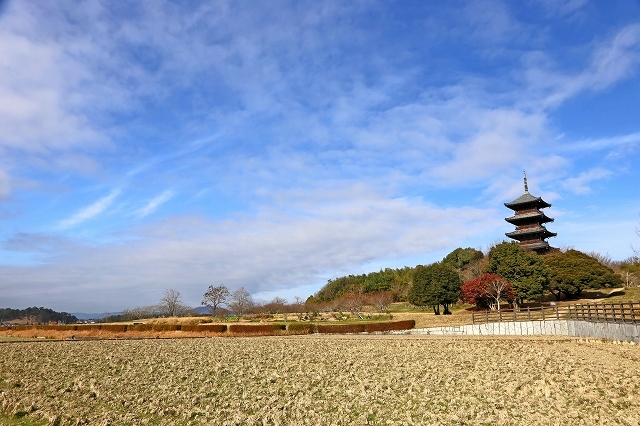 a0242438_18474670.jpg