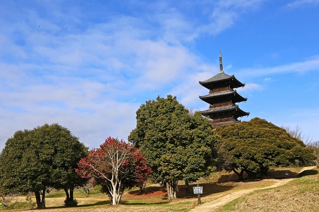 a0242438_18474690.jpg