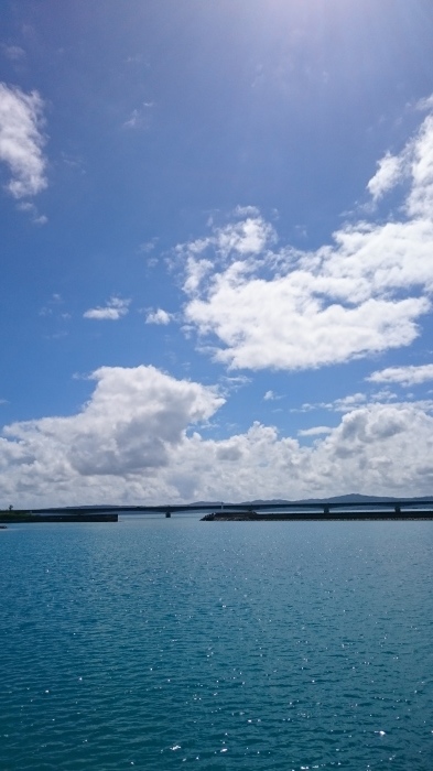 d0344038_10084082.jpg