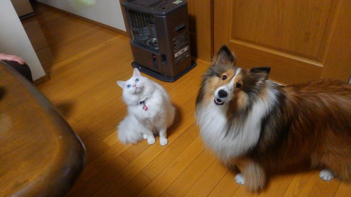 f0210439_22382394.jpg