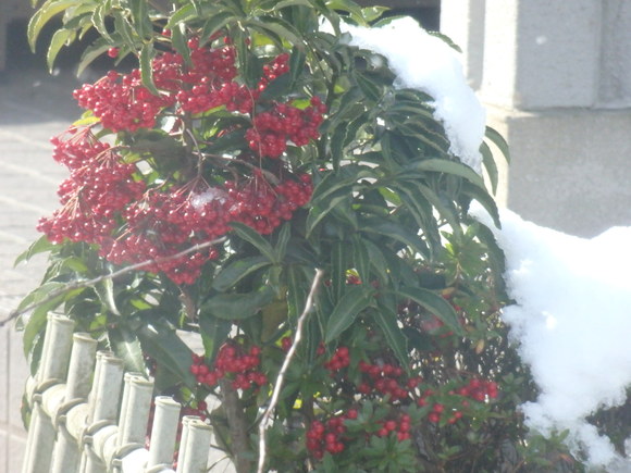 a0054240_22145115.jpg
