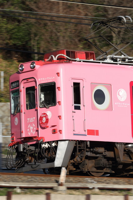 新年の装い、めでたい電車を撮る_c0170340_22485335.jpg