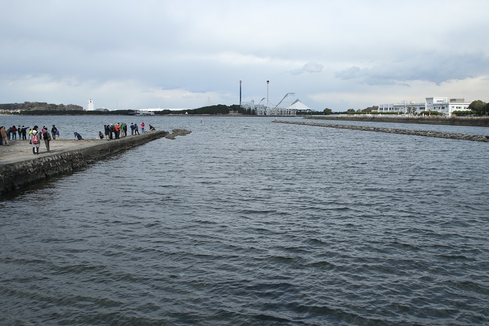 e0361945_22373669.jpg